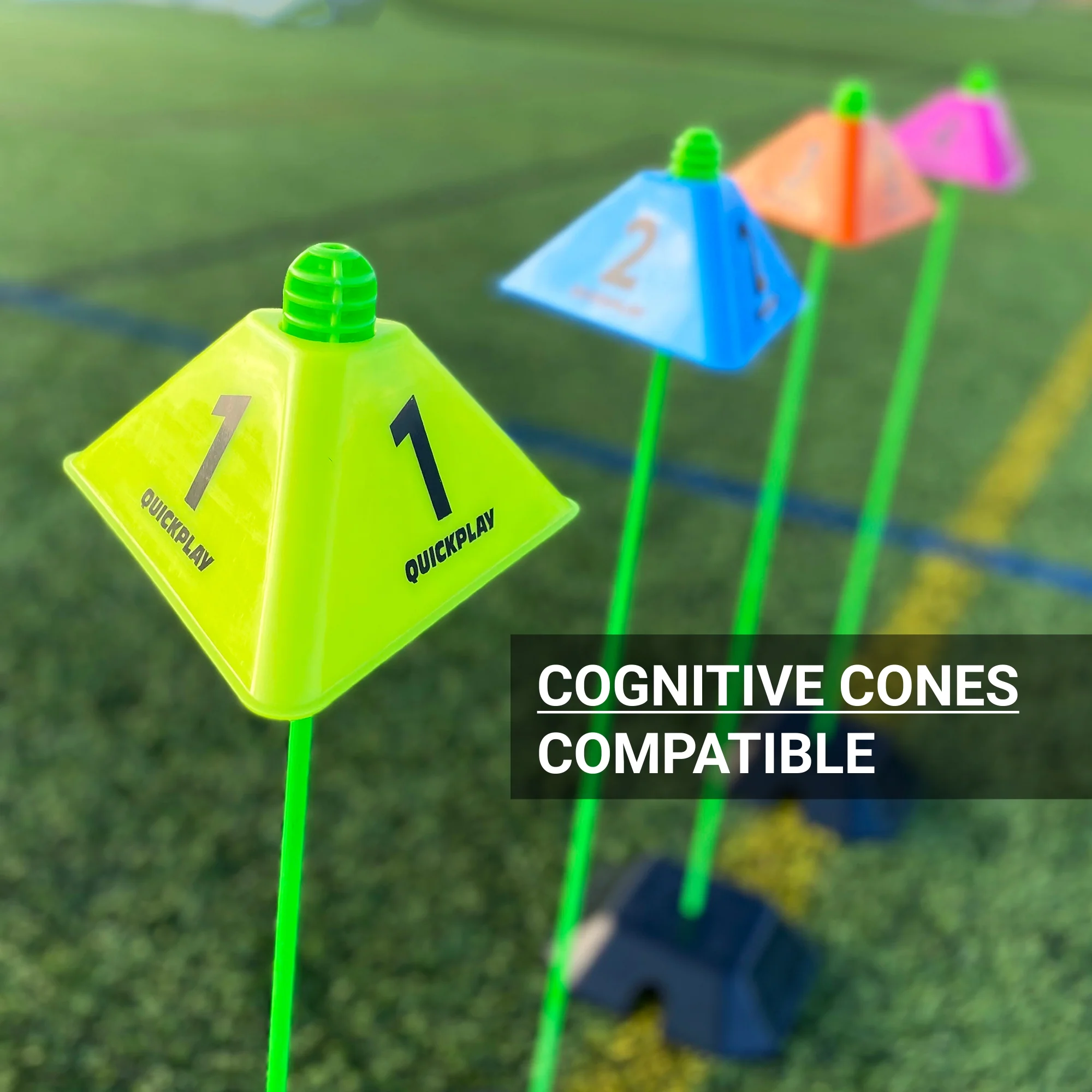 Agility Poles (set of 10) - Image 8
